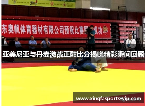 亚美尼亚与丹麦激战正酣比分揭晓精彩瞬间回顾 亚美尼亚与丹麦激战正酣比分揭晓精彩瞬间回顾